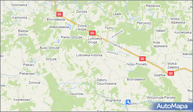 mapa Lutkówka gmina Mszczonów, Lutkówka gmina Mszczonów na mapie Targeo