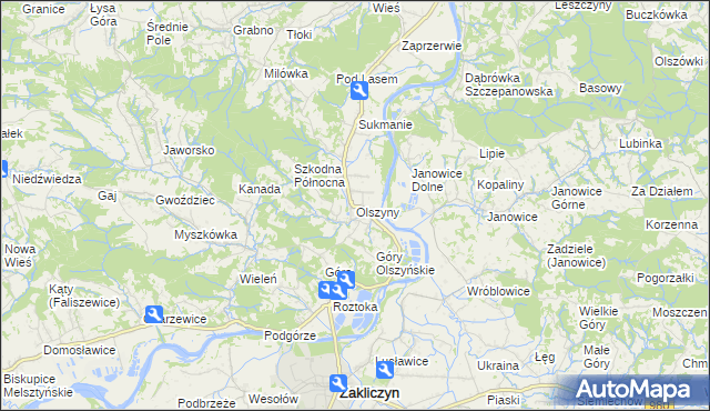 mapa Olszyny gmina Wojnicz, Olszyny gmina Wojnicz na mapie Targeo