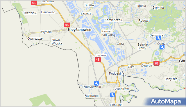 mapa Roszków gmina Krzyżanowice, Roszków gmina Krzyżanowice na mapie Targeo