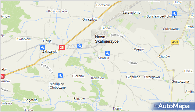 mapa Śliwniki gmina Nowe Skalmierzyce, Śliwniki gmina Nowe Skalmierzyce na mapie Targeo