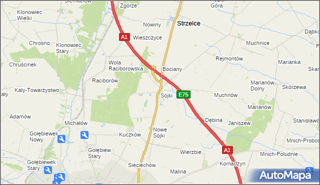 mapa Sójki gmina Strzelce, Sójki gmina Strzelce na mapie Targeo