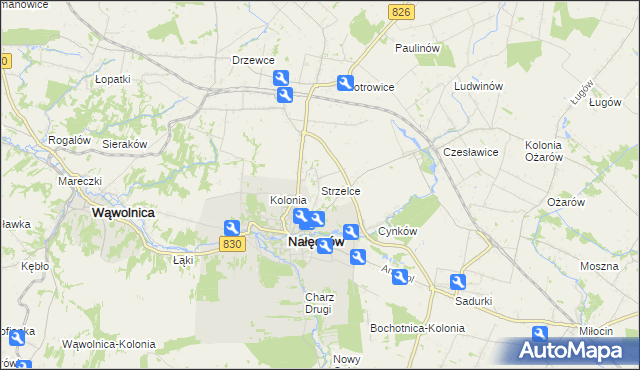 mapa Strzelce gmina Nałęczów, Strzelce gmina Nałęczów na mapie Targeo