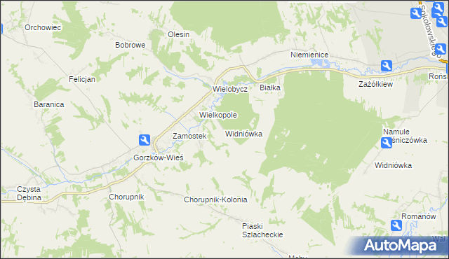 mapa Widniówka gmina Gorzków, Widniówka gmina Gorzków na mapie Targeo