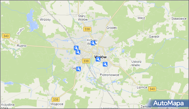 mapa Wołów, Wołów na mapie Targeo