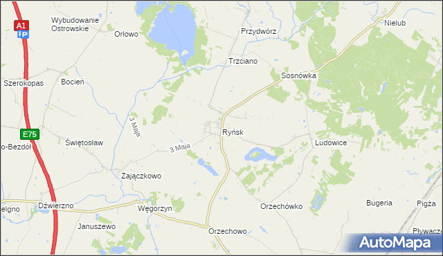 mapa Ryńsk, Ryńsk na mapie Targeo