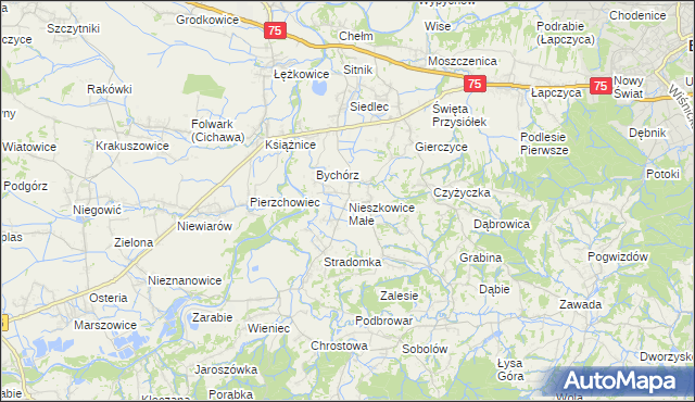 mapa Nieszkowice Małe, Nieszkowice Małe na mapie Targeo