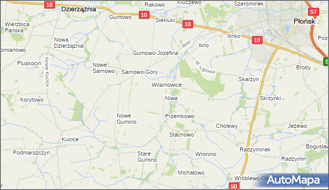 mapa Niwa gmina Dzierzążnia, Niwa gmina Dzierzążnia na mapie Targeo