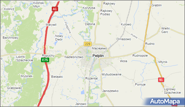 mapa Pelplin, Pelplin na mapie Targeo