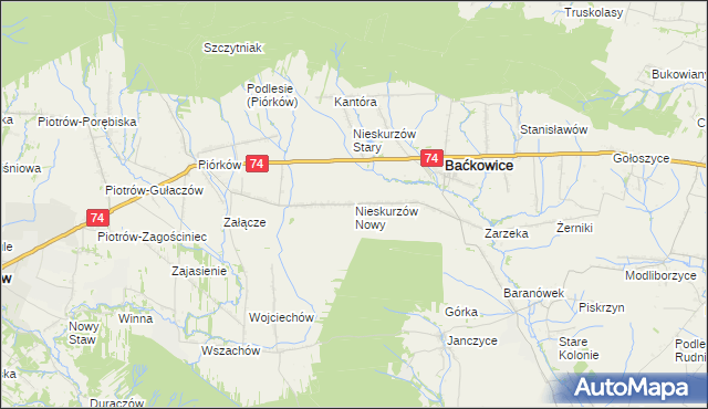 mapa Nieskurzów Nowy, Nieskurzów Nowy na mapie Targeo