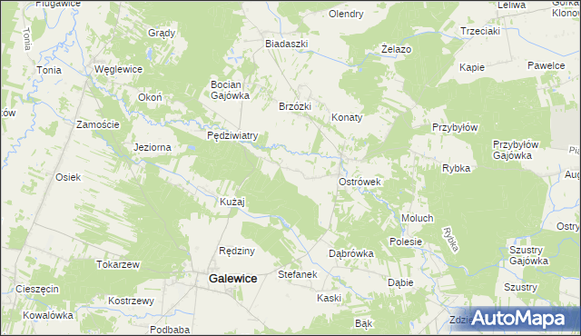 mapa Kaźmirów, Kaźmirów na mapie Targeo