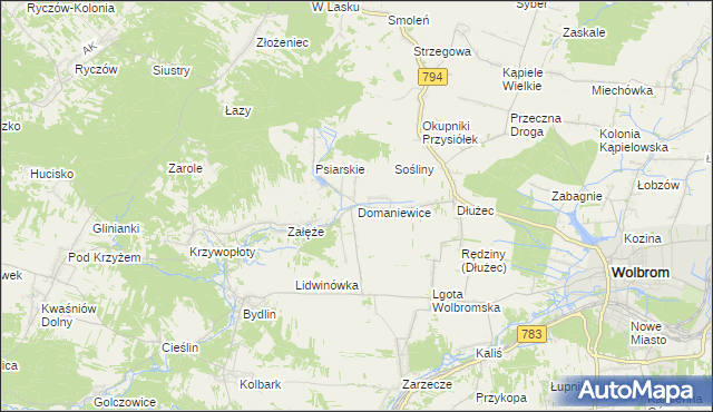 mapa Domaniewice gmina Wolbrom, Domaniewice gmina Wolbrom na mapie Targeo