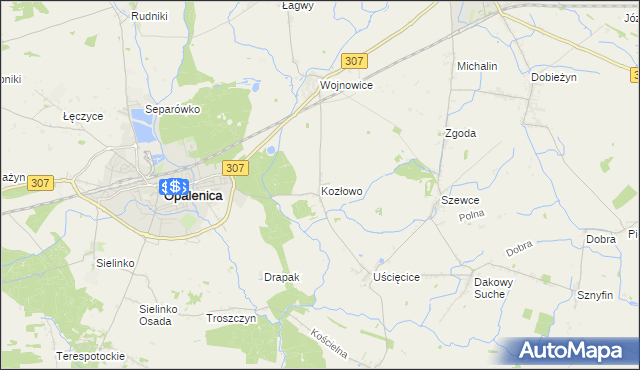 mapa Kozłowo gmina Opalenica, Kozłowo gmina Opalenica na mapie Targeo