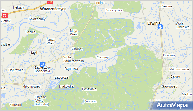 mapa Olszyny gmina Drwinia, Olszyny gmina Drwinia na mapie Targeo