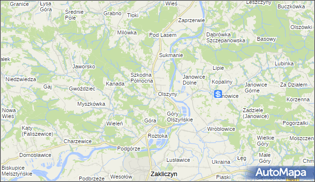 mapa Olszyny gmina Wojnicz, Olszyny gmina Wojnicz na mapie Targeo