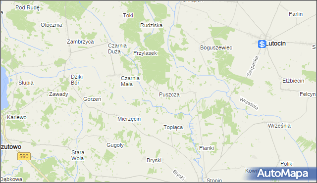 mapa Puszcza gmina Rościszewo, Puszcza gmina Rościszewo na mapie Targeo