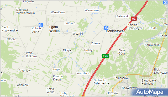 mapa Rożny, Rożny na mapie Targeo