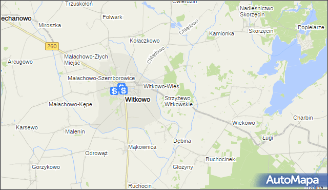 mapa Strzyżewo Witkowskie, Strzyżewo Witkowskie na mapie Targeo