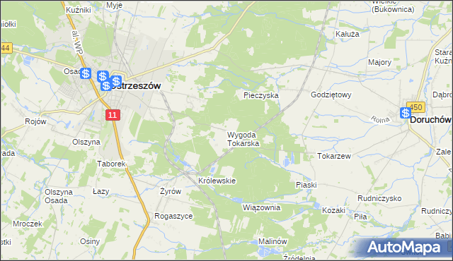 mapa Wygoda Tokarska, Wygoda Tokarska na mapie Targeo