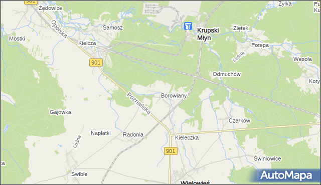 mapa Borowiany, Borowiany na mapie Targeo