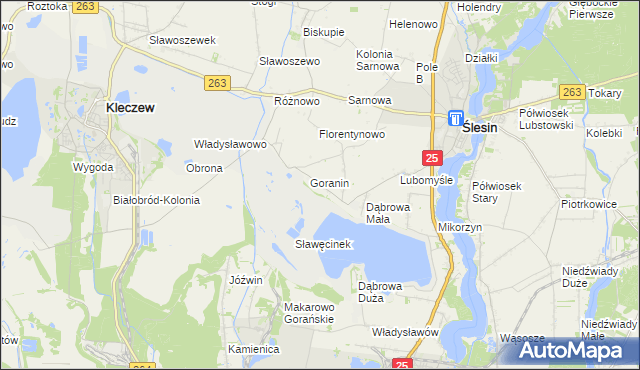 mapa Goraninek gmina Ślesin, Goraninek gmina Ślesin na mapie Targeo