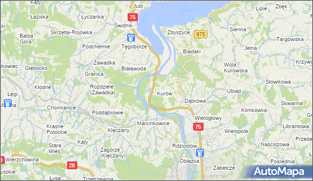 mapa Kurów gmina Chełmiec, Kurów gmina Chełmiec na mapie Targeo