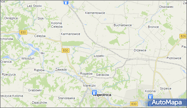 mapa Łopatki gmina Wąwolnica, Łopatki gmina Wąwolnica na mapie Targeo