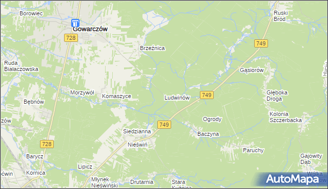 mapa Ludwinów gmina Gowarczów, Ludwinów gmina Gowarczów na mapie Targeo