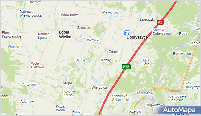 mapa Rożny, Rożny na mapie Targeo