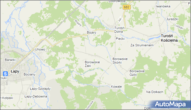 mapa Borowskie Olki, Borowskie Olki na mapie Targeo