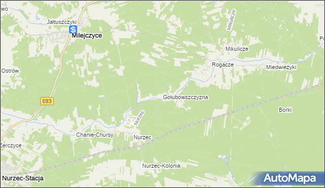 mapa Gołubowszczyzna, Gołubowszczyzna na mapie Targeo