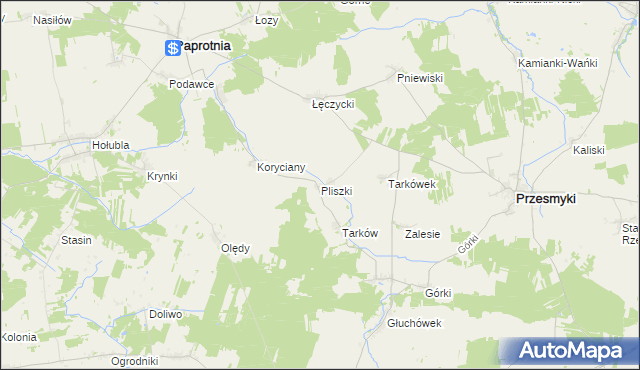 mapa Pliszki, Pliszki na mapie Targeo