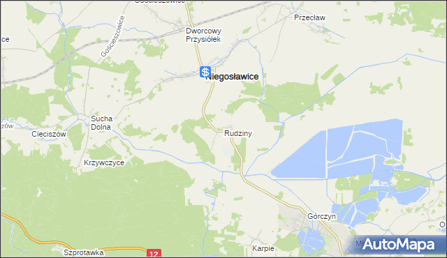 mapa Rudziny gmina Niegosławice, Rudziny gmina Niegosławice na mapie Targeo