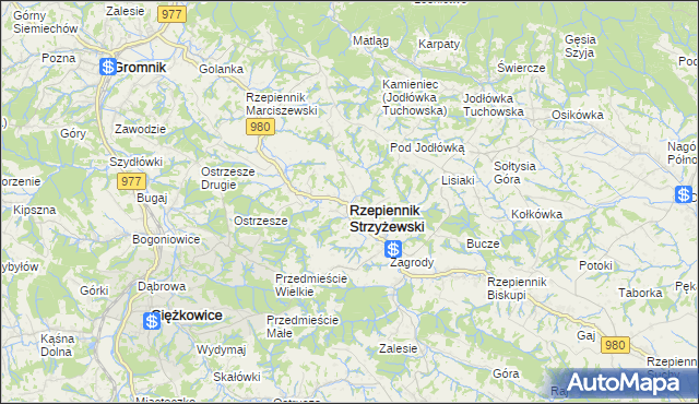 mapa Rzepiennik Strzyżewski, Rzepiennik Strzyżewski na mapie Targeo