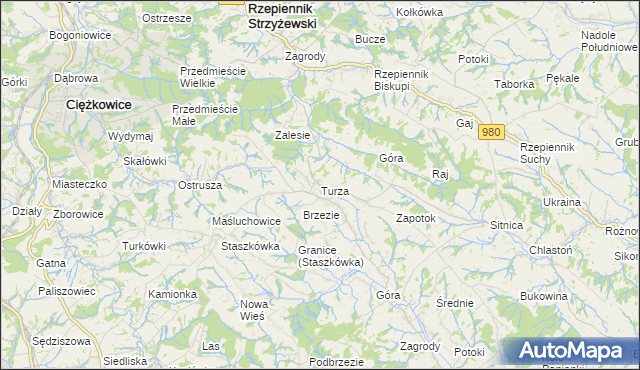 mapa Turza gmina Rzepiennik Strzyżewski, Turza gmina Rzepiennik Strzyżewski na mapie Targeo