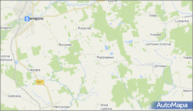 mapa Radziejewo gmina Pieniężno, Radziejewo gmina Pieniężno na mapie Targeo