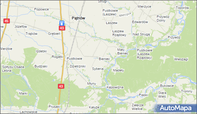 mapa Bieniec gmina Pątnów, Bieniec gmina Pątnów na mapie Targeo