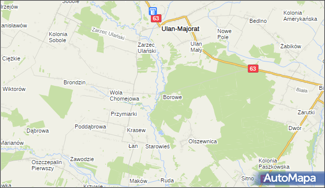 mapa Borowe gmina Borki, Borowe gmina Borki na mapie Targeo