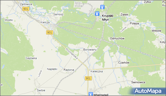 mapa Borowiany, Borowiany na mapie Targeo