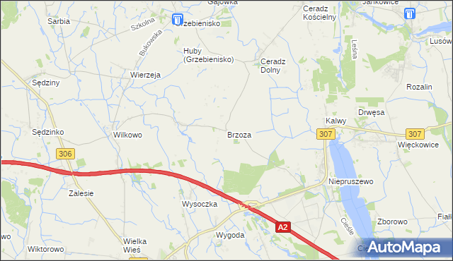 mapa Brzoza gmina Duszniki, Brzoza gmina Duszniki na mapie Targeo