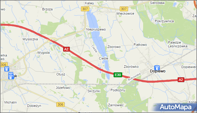 mapa Cieśle gmina Buk, Cieśle gmina Buk na mapie Targeo