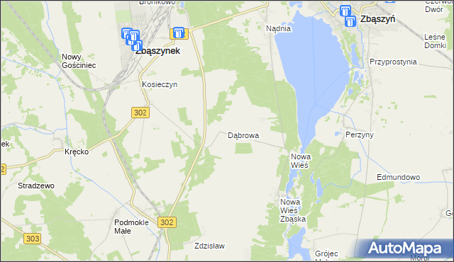 mapa Dąbrowa gmina Zbąszyń, Dąbrowa gmina Zbąszyń na mapie Targeo