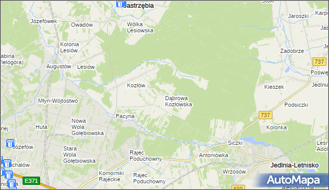 mapa Dąbrowa Kozłowska, Dąbrowa Kozłowska na mapie Targeo