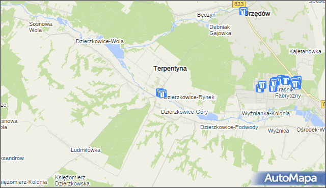 mapa Dzierzkowice-Rynek, Dzierzkowice-Rynek na mapie Targeo