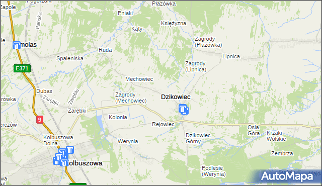 mapa Dzikowiec powiat kolbuszowski, Dzikowiec powiat kolbuszowski na mapie Targeo