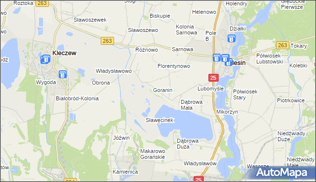 mapa Goraninek gmina Ślesin, Goraninek gmina Ślesin na mapie Targeo
