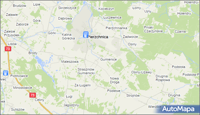 mapa Gumienice gmina Pierzchnica, Gumienice gmina Pierzchnica na mapie Targeo