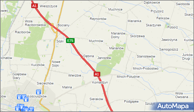 mapa Janiszew gmina Strzelce, Janiszew gmina Strzelce na mapie Targeo