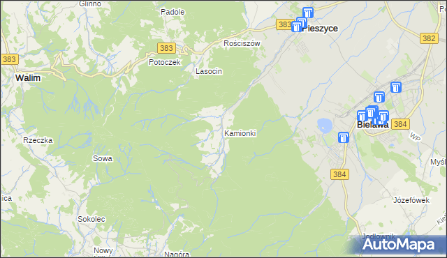 mapa Kamionki gmina Pieszyce, Kamionki gmina Pieszyce na mapie Targeo