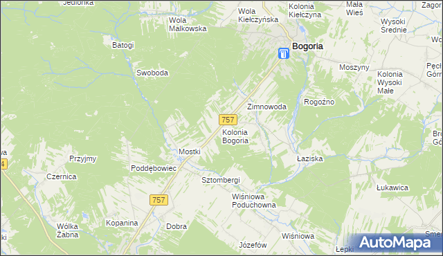 mapa Kolonia Bogoria, Kolonia Bogoria na mapie Targeo
