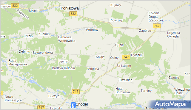 mapa Książ gmina Chodel, Książ gmina Chodel na mapie Targeo